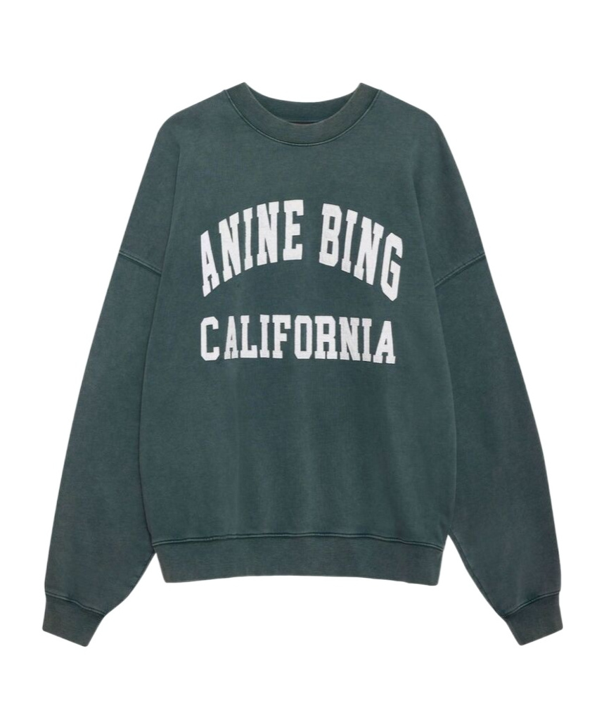 Shop Anine Bing Miles Logo-printed Crewneck Sweatshirt In Green