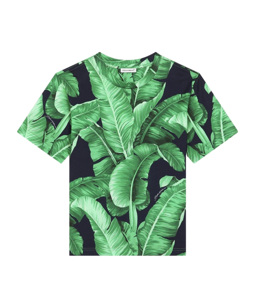 Dolce & Gabbana Leaf-print Cotton T-shirt In Green