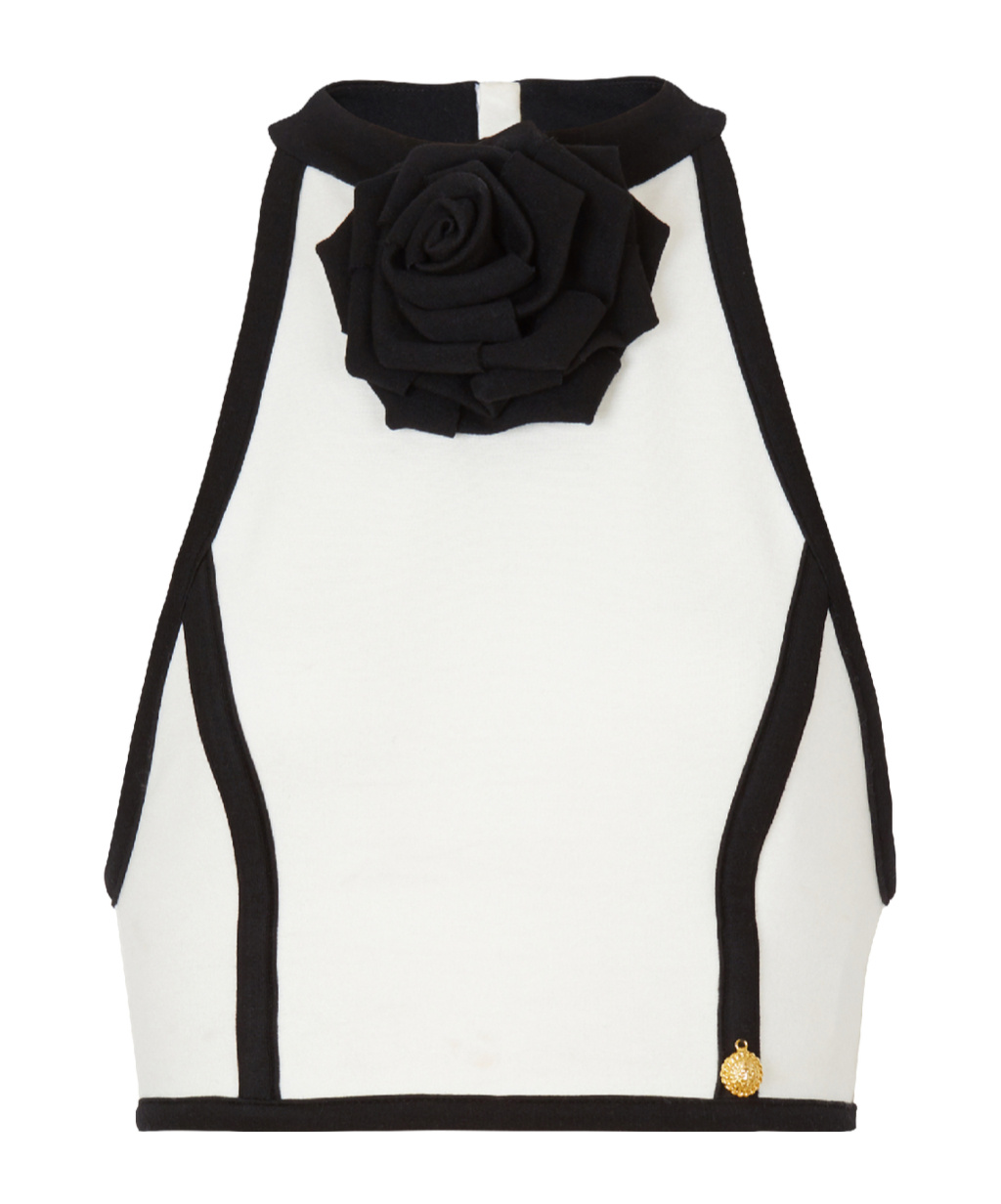 Balmain Rose-appliqué Halterneck Top In Black