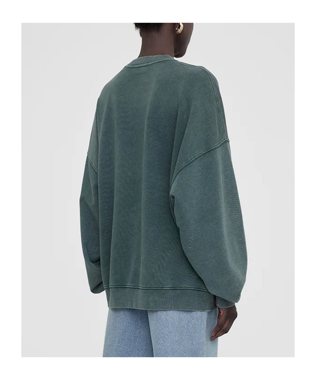 Shop Anine Bing Miles Logo-printed Crewneck Sweatshirt In Green