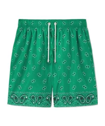 Palm Angels Paisley Print Swim Shorts In Green