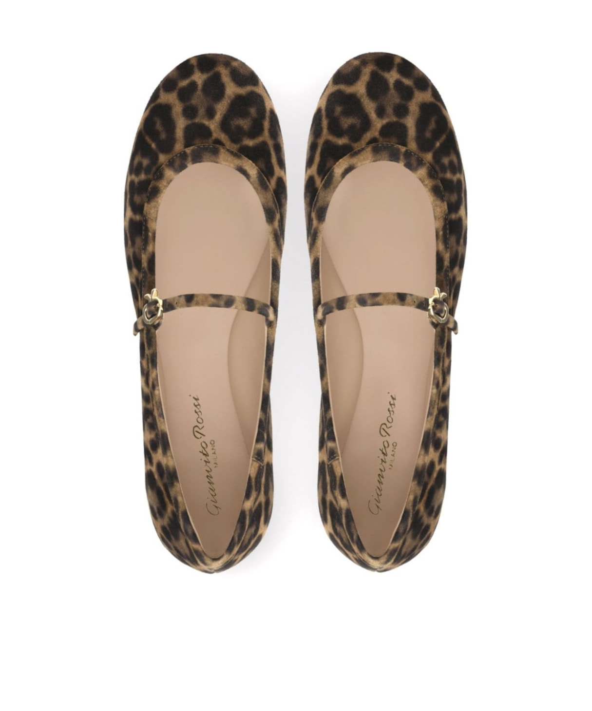 Shop Gianvito Rossi Carla Leopard-pattern Buckle-strap Ballerina Shoes In Black