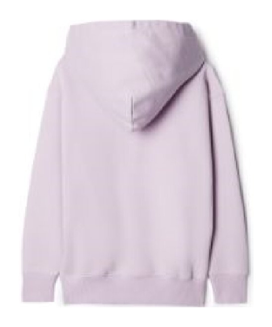 Off-white Big Bookish Cotton Hoodie In Purple