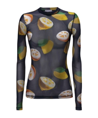 Jw Anderson Long Sleeve Mesh Top In Black